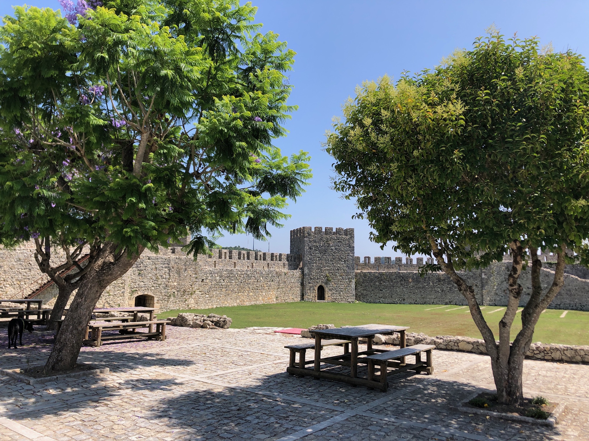 🏰 The Fortress of the Mondego: Castelo de Montemor-o-Velho